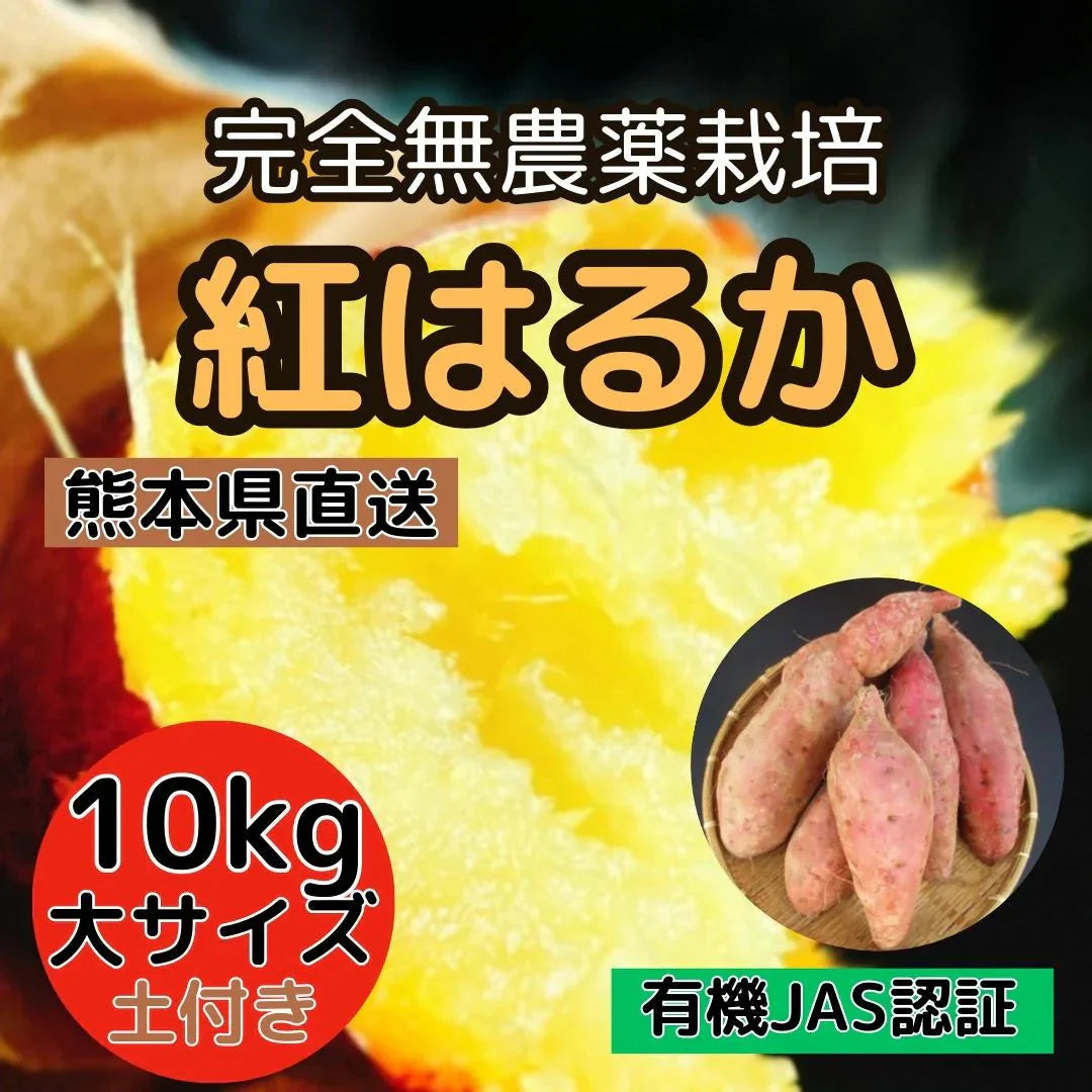 10kg 完全無農薬栽培【紅はるか】大サイズ 熊本直送（有機JAS認証 / 土付き）
