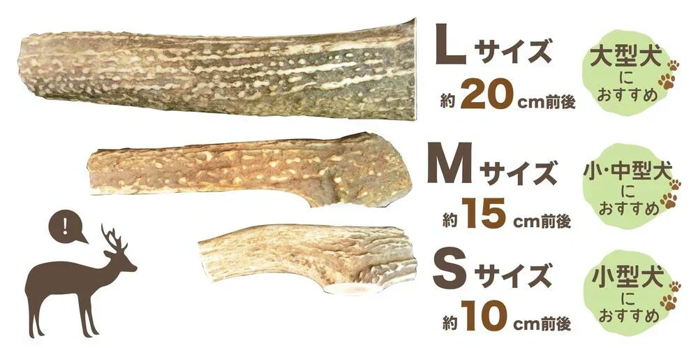 北海道　えぞ鹿角　Lサイズ　1本　ペット　歯石　口臭　ストレス解消　おもちゃ　お留守番　しか　ツノ
