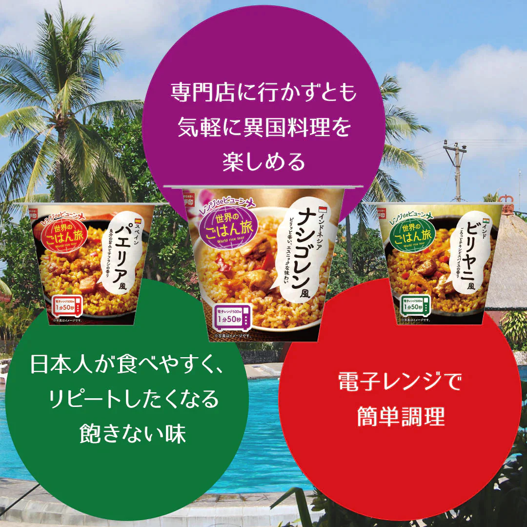 ご飯パック レンジdeビューン 世界のごはん旅 ナシゴレン風 12個セット (160g×12) おくさま印 レトルト食品 カップ型ごはん レンジで簡単調理 温めるだけ 送料無料