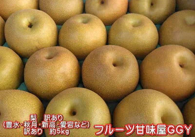 梨 訳あり（豊水・秋月・新高・愛宕など）約5kg（約5～24玉）送料無料【ゲリラセール】