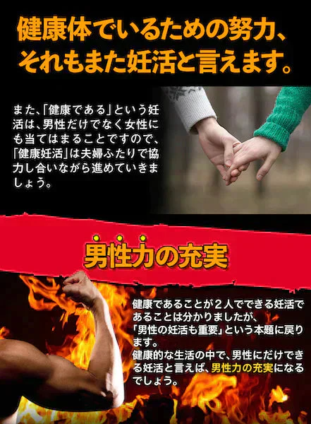 【大容量★約6ヶ月分】healthylife マカ・亜鉛＋アルファ【男性の元気と妊活に！】大容量360粒 マカ 亜鉛で +アルファ シトルリン アルギニン 発酵黒にんにく クラチャイダム トンカットアリ マムシ すっぽん 冬虫夏草 活力 精力 活気 気力 元気 ハリ 健康 男性健康 サポート 男性 元気が出ない男性 スタミナに自信がない男性 夫婦生活にハリを取り戻したい男性 秋マカ 黒マカ ペルーマカ マカ 日本製 国産 おすすめ 人気 ランキング 効果 健康サプリ 健康食品