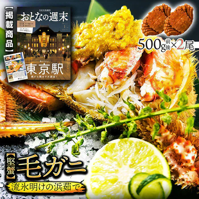 ！！1尾より断然お得！13,960円→今なら6,980円（6,980円引き）北海道産  浜茹で毛蟹 約500g×2尾【本州・四国エリア送料無料】オホーツク海の流氷明けで水揚げされた堅蟹を新鮮なままボイルしてます！