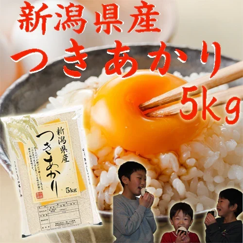 新米 5kg 送料無料 新潟産 つきあかり 白米 5kg プレゼント付き 精米 白米 米 お米 5kg ベストストア 農家直送 新潟県産 米 5kg 産地直送 安いお米