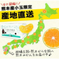 小玉 みかん 訳あり 送料無料 1.5kg 小粒 ミカン 柑橘 熊本 極早生 3s-sサイズ 家庭用 7-14営業日以内に出荷予定(土日祝除く)【ご新規さん限定商品】