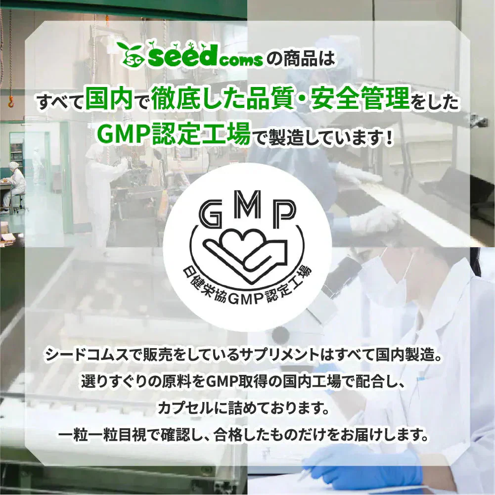 イチョウ葉エキス（約1ヶ月分）イチョウ葉　サプリメント DHA EPA