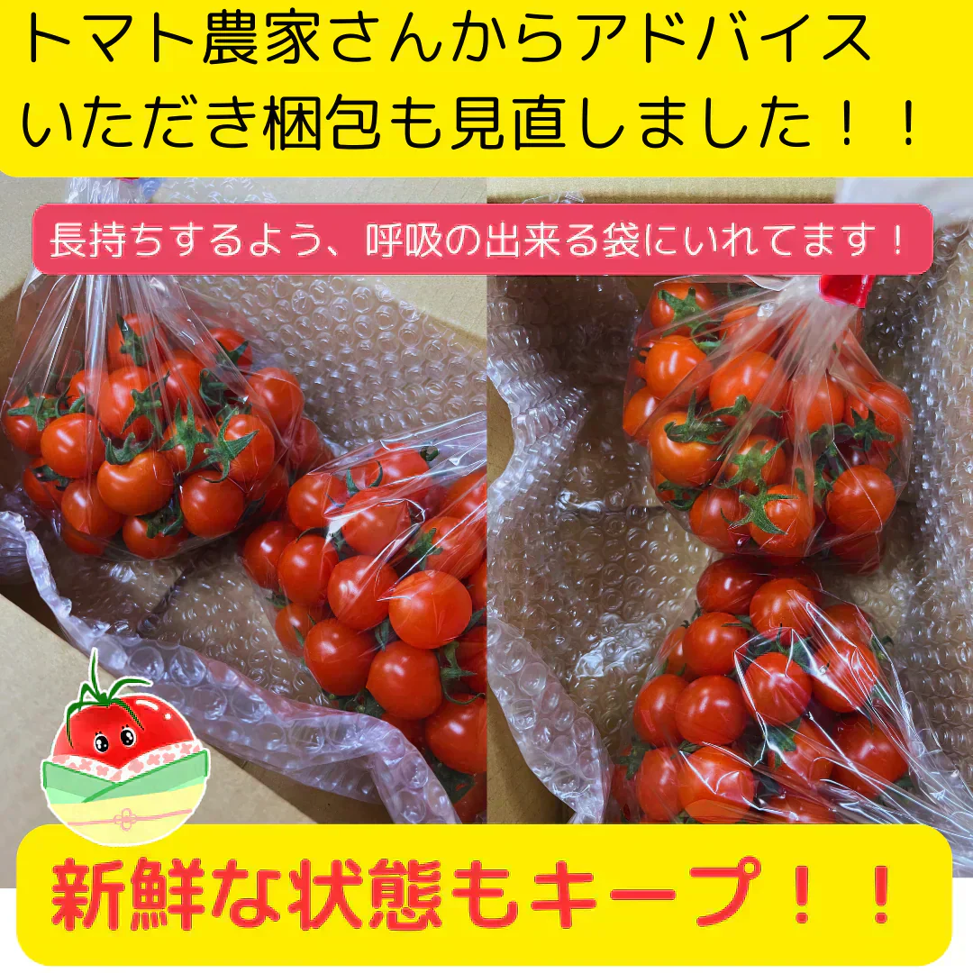 【3.4.5.6月限定】高糖度★収穫後すぐ発送！　高糖度紅すずめ　1500g　ミニトマト　こだわり農家の希少な逸品