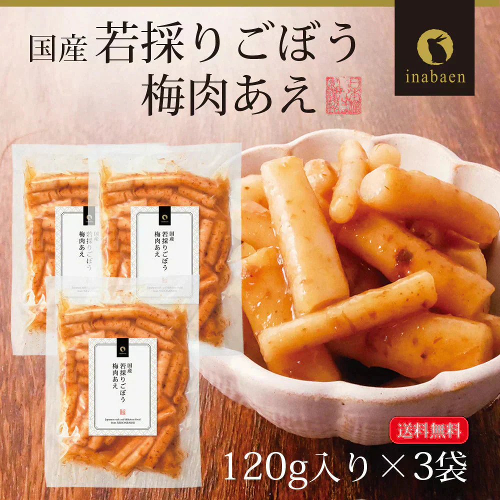 【3個セット】日本橋いなば園 国産 若採りごぼう 梅肉あえ 120g メール便 送料無料
