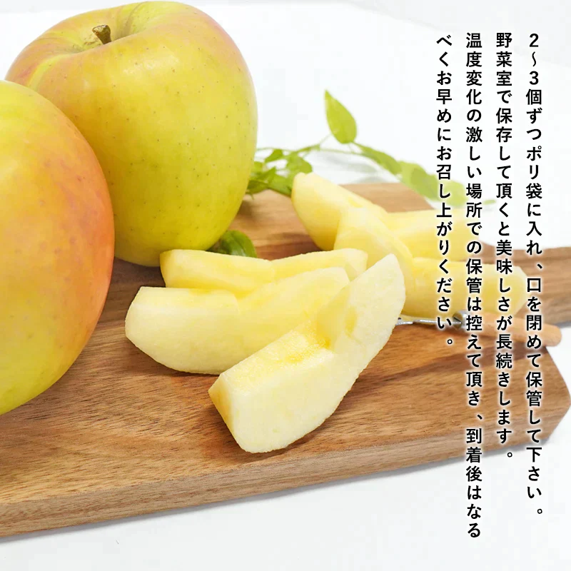 【予約受付中】青森県産 訳あり ぐんま名月 約3kg 数量限定! ※10月下旬頃からご予約順に発送予定※家庭用 青森 りんご 林檎 群馬名月 果物 フルーツ 送料無料 ks
