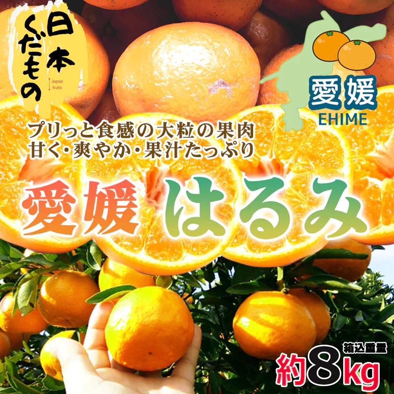 愛媛県産 ハルミ 8kg 訳あり家庭用 柑橘