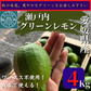 予約販売【防腐剤・防かび剤不使用・皮まで使える】国産グリーンレモン　愛媛県産　4kg 32～40球前後