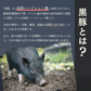 高級黒豚 焼肉用ももスライス 1kg（500g×2パック）静岡県産バークシャー