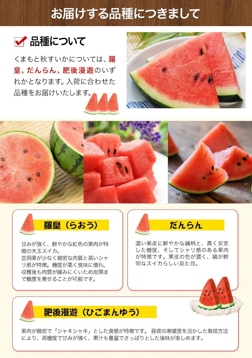 大玉 すいか  6kg以上 熊本県産 送料無料 スイカ 訳あり ジャンボスイカ   熊本 旬 の 果物 夏 キャンプ 家庭用 自家用 フルーツ 果物 甘い《7-14営業日以内に発送予定（土日祝除く）》
