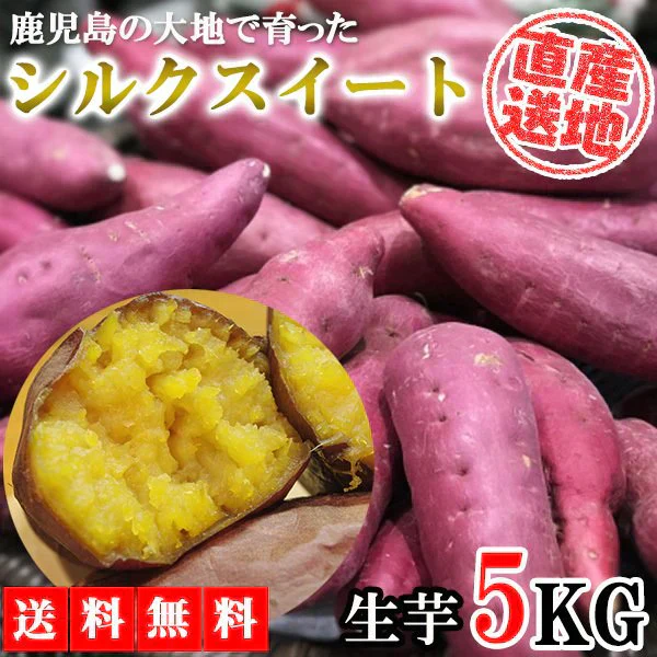 シルクスイート さつまいも 5kg 産地直送 産直 土付き さつま芋 薩摩芋 焼きいも 焼き芋 鹿児島県産 FJK-001