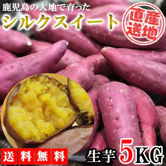 シルクスイート さつまいも 5kg 産地直送 産直 土付き さつま芋 薩摩芋 焼きいも 焼き芋 鹿児島県産 FJK-001