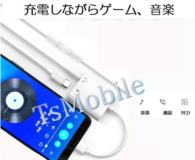 Typec AUX 変換 ケーブル Type-CオスからTypeCメスと 3.5mm auxメス イヤホンジャックに変換 アダプタ 音楽を聞きながら充電 コネクタ 2in1ポイント消耗