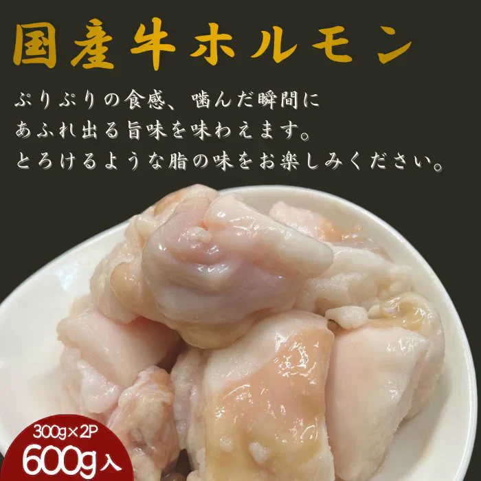 A4・A5ランク黒毛和牛すじ＆国産牛ホルモンセット　1.1kg