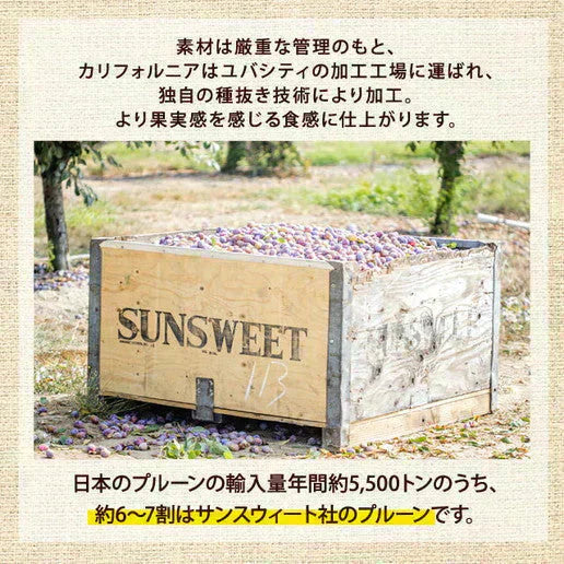 700g ドライプルーン ノンオイル 砂糖不使用 無添加 種なし 送料無料