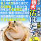 8月中旬まで限定販売　青森県野牛産　活ほたて　大サイズ3キロ　むきへら付き