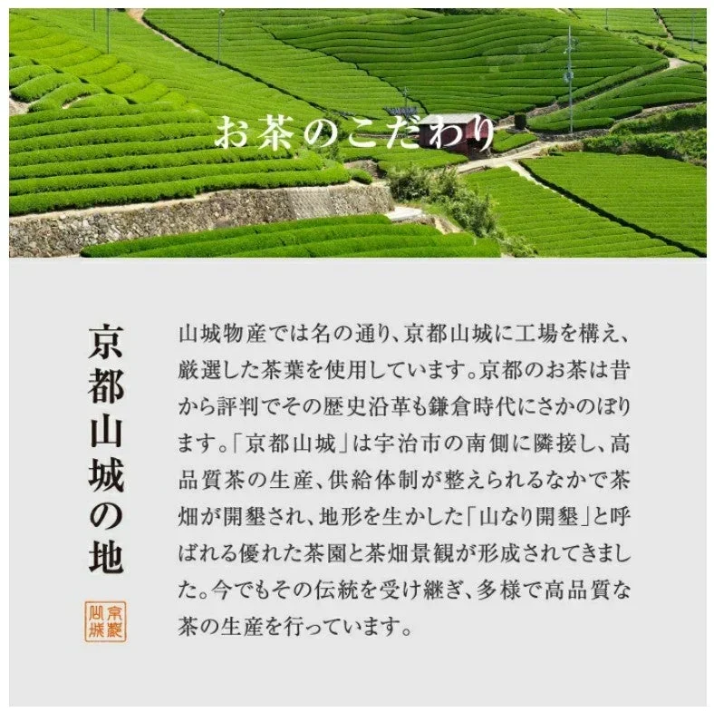 ゆたかみどり 鹿児島茶 緑茶 エピガロカテキン 山城物産 カテキン 100g