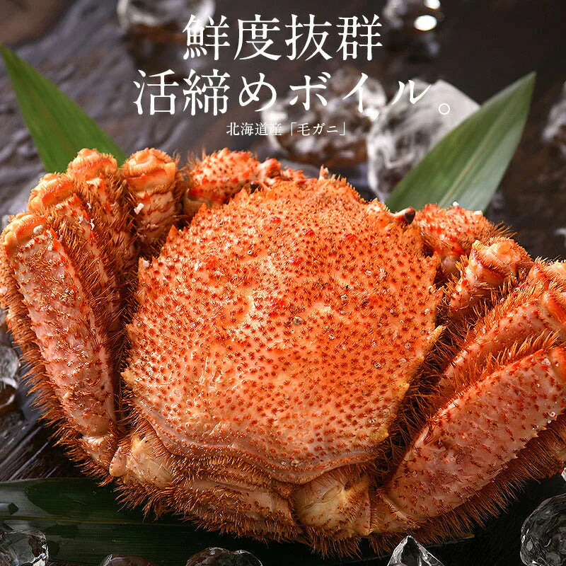 毛ガニ 500g前後×2尾 蟹 毛蟹 毛がに 海鮮 カニ かに グルメ ［送料無料］ ボイルカニ ボイル 高級グルメ ボイル蟹 お取り寄せグルメ 食品 食べ物 冷凍蟹 姿 母の日 プレゼント ギフト  母の日思いの 健康 実用的 父の日 子供 孫