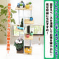 鉄製5段フラワースタンド ブラウン ラック アイアン ガーデニング 園芸 コレクション 観葉植物 植物棚 花台