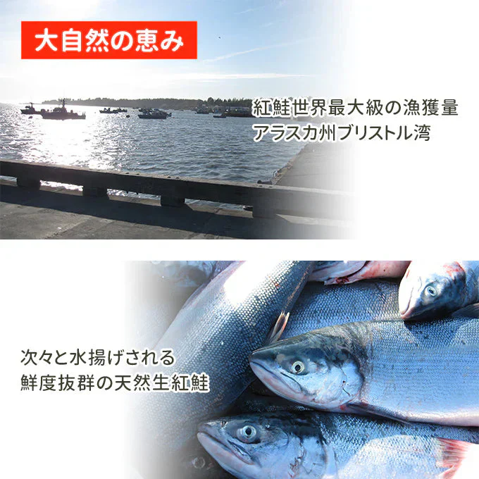 好評につき完売いたしました。訳あり天然紅鮭塩筋子 2kg 送料無料