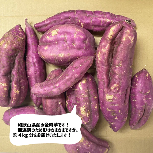 和歌山県産 紀州 金時 約４kg ご家庭用 さつまいも 訳あり サツマイモ 焼き芋 干し芋