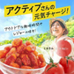 【予約販売】600g(300g×2) 紅塩ドライトマト【2026/9/10頃出荷予定】