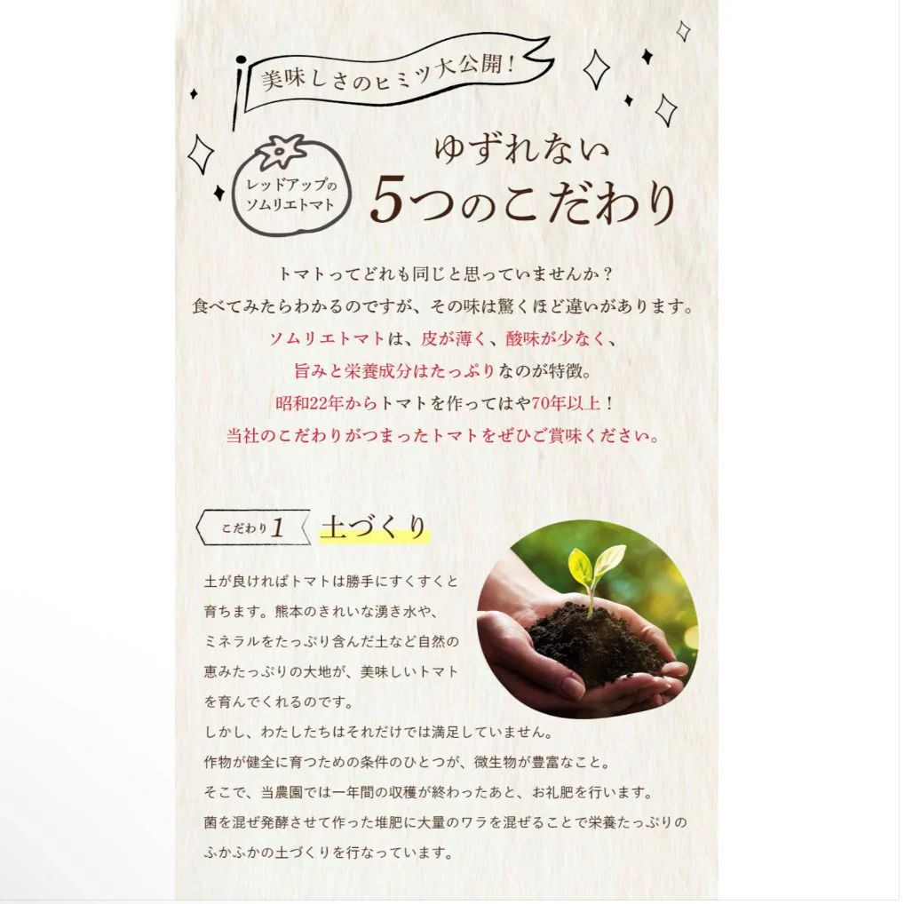 【特別栽培農産物】ソムリエミニトマト　プラチナ　８ｋｇ