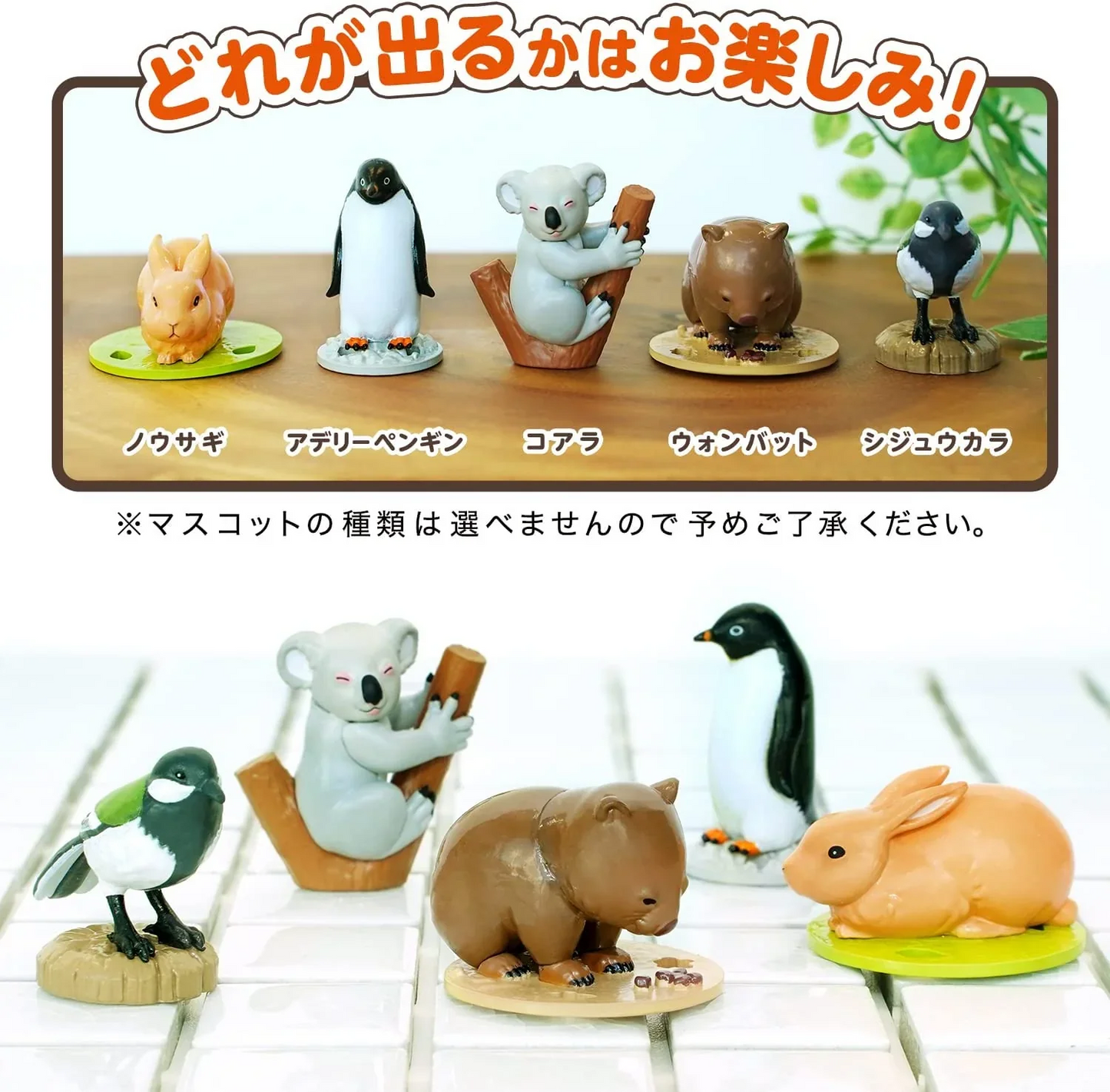 3個セット　バスボール　ざんねんないきもの事典 　グレープフルーツの香り