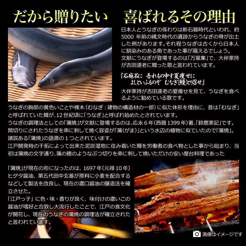 うなぎ蒲焼き　約250g前後×3尾 うなぎ 蒲焼き【国産 国内産】炭火焼うなぎ蒲焼 特大 土用の丑の日 宮崎県産・鹿児島県産 ※蒲焼のタレ付