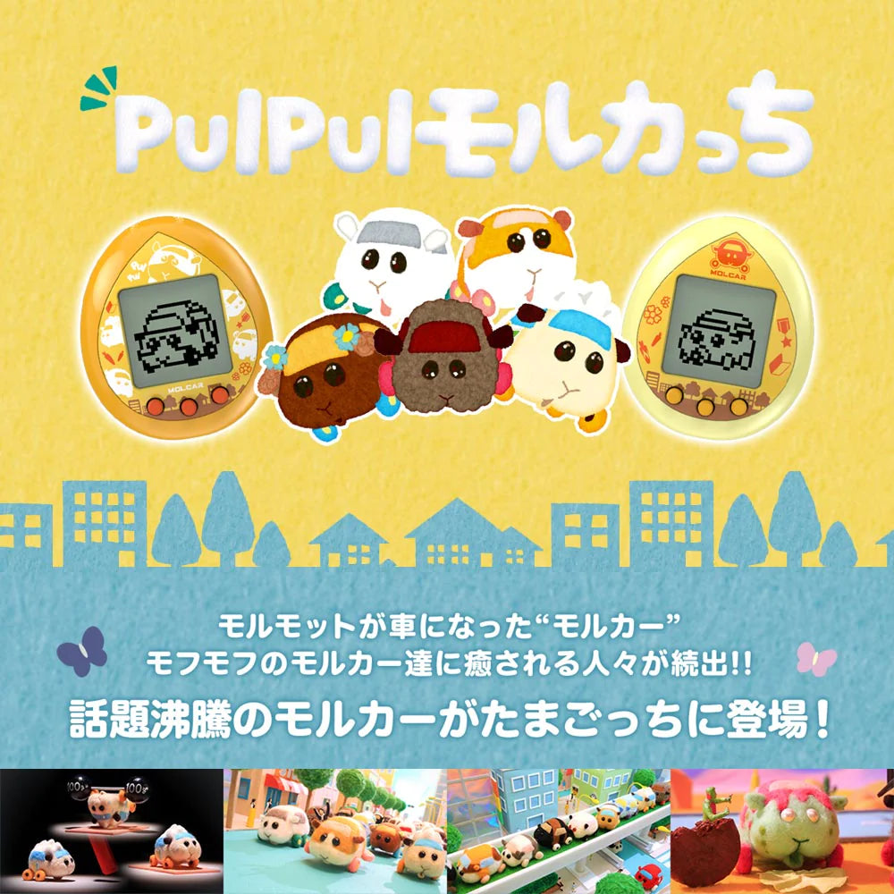 【2色セット】PUI PUI モルカっち オレンジカラー クリームカラー