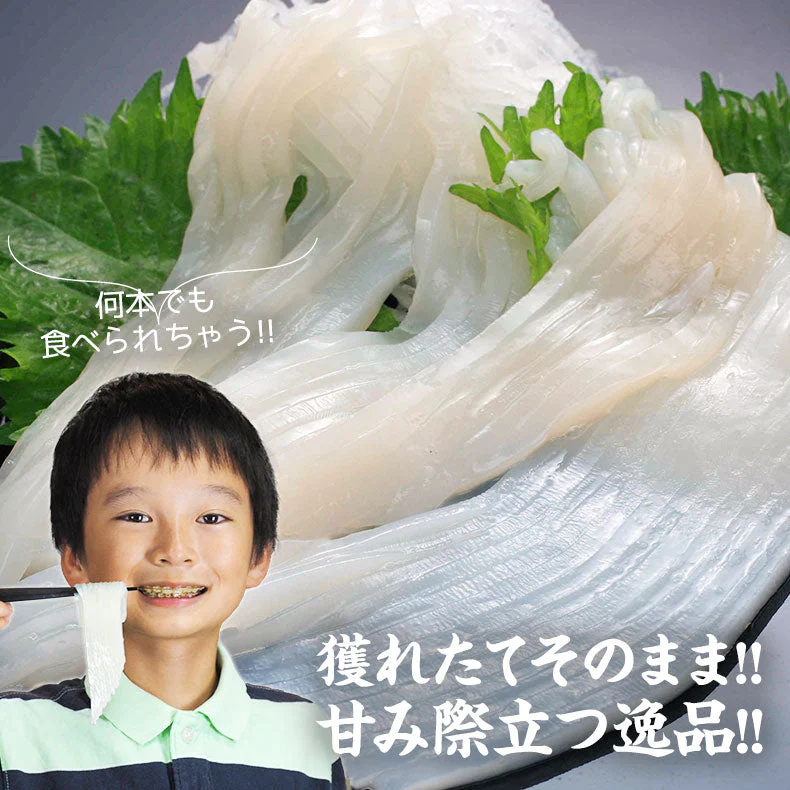 いかそーめん 6人前 2人前×3セット 北海道産 専用たれ付き