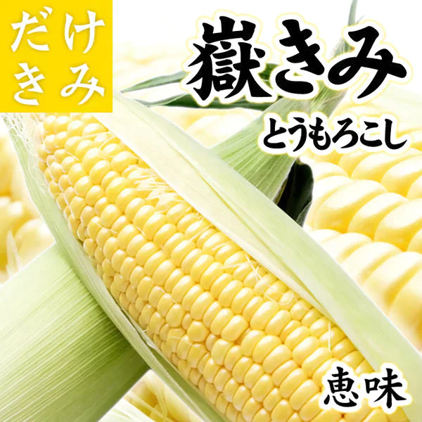 嶽きみ (だけきみ) 青森県産とうもろこし 恵味 2Lサイズ 10本