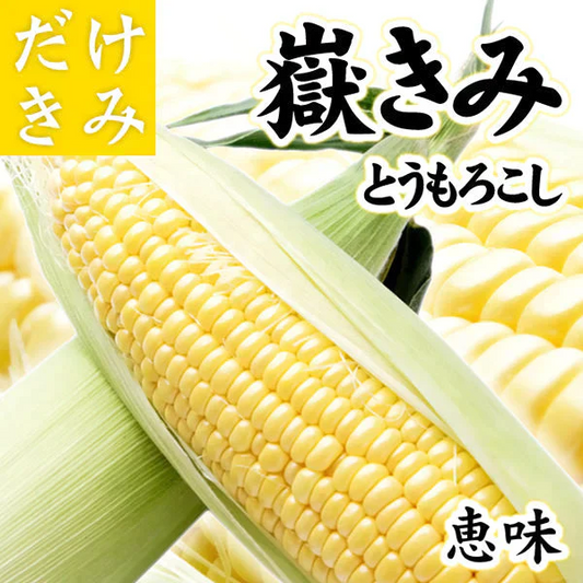 嶽きみ (だけきみ) 青森県産とうもろこし 恵味 2Lサイズ 10本