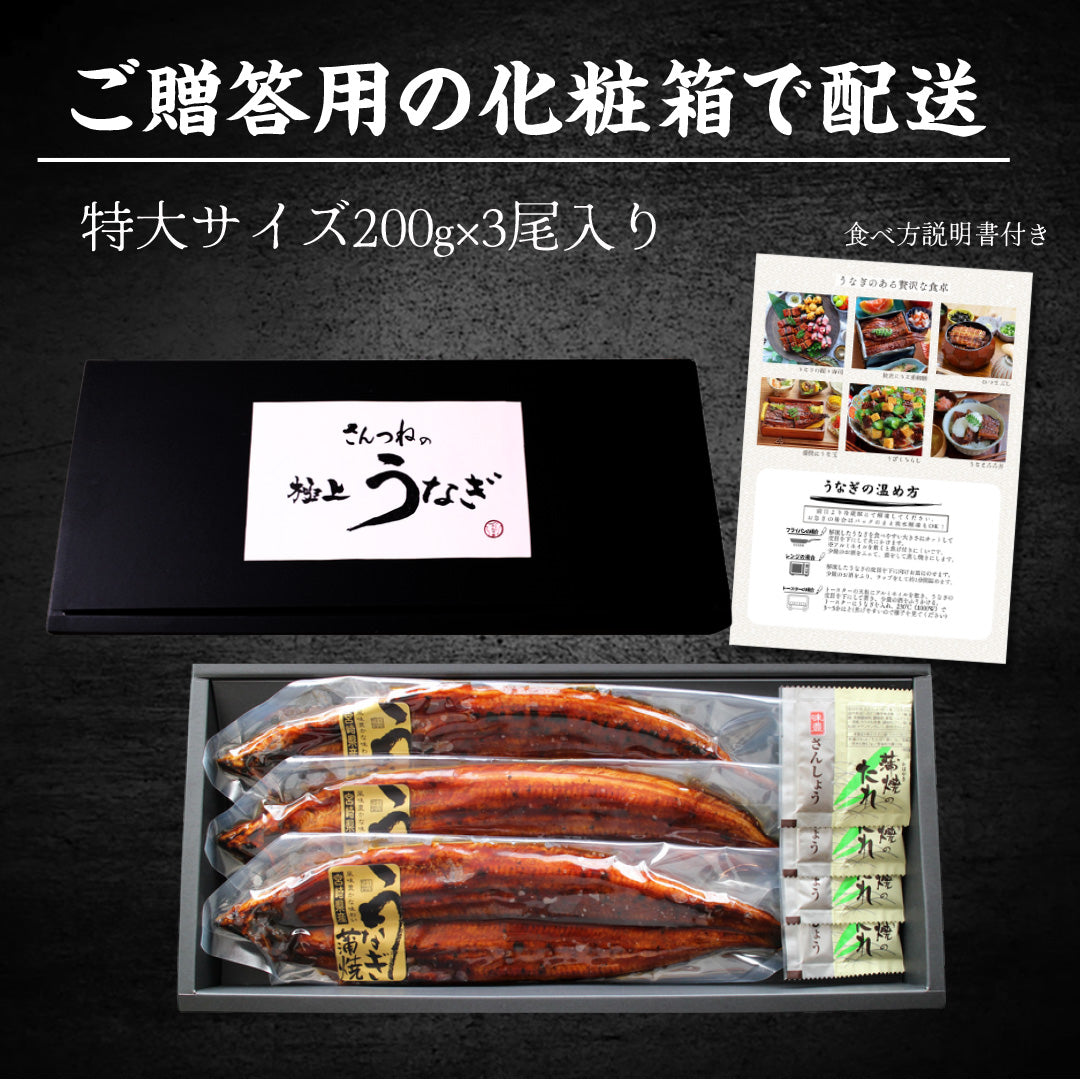 特大うなぎ蒲焼 約200ggｘ3本  九州産