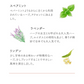 ★訳あり特価★オーガニック ブレンド ルイボスティー （Organic Beauty Blend ROOIBOS ティーバッグ ブレンドティー 美容 健康 有機）