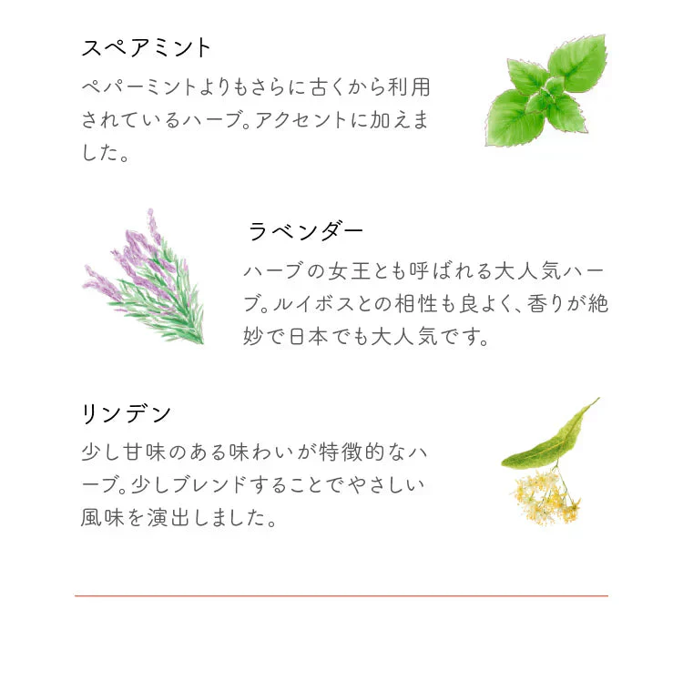 ★訳あり特価★オーガニック ブレンド ルイボスティー （Organic Beauty Blend ROOIBOS ティーバッグ ブレンドティー 美容 健康 有機）