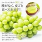 【9月上旬順次発送】送料無料 岡山産 シャインマスカット 晴王 優品2房 800-900g