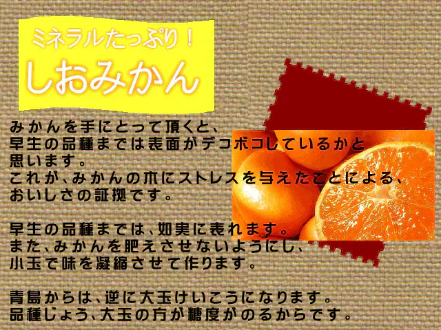 しおみかん  5kg みかん 熊本産 訳あり ご家庭用 80サイズ