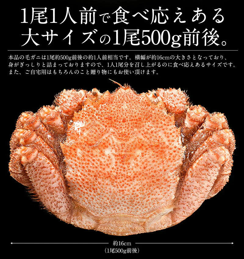 毛ガニ 500g前後×2尾 蟹 毛蟹 毛がに 海鮮 カニ かに グルメ ［送料無料］ ボイルカニ ボイル 高級グルメ ボイル蟹 お取り寄せグルメ 食品 食べ物 冷凍蟹 姿 母の日 プレゼント ギフト  母の日思いの 健康 実用的 父の日 子供 孫