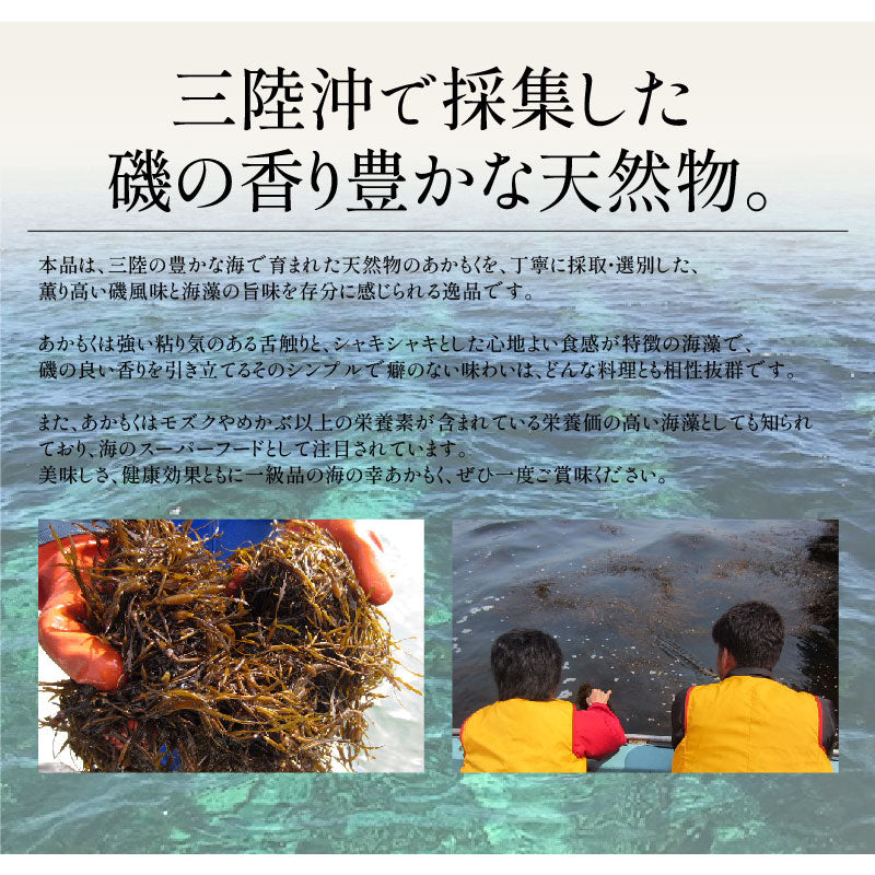あかもく アカモク100g×5パック ギバザ 三陸 宮城県産  ヘルシー 健康 冷凍 ご飯のお供 海藻
