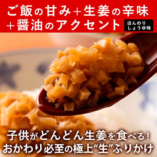 【10人シェア買いでお得】【送料無料】 減塩 サクサク味付け極しょうが 110g×4 【代引不可】 ふりかけ ご飯のお供 酢しょうが おかず生姜 万能調味料 生姜 しょうが ショウガ 国産