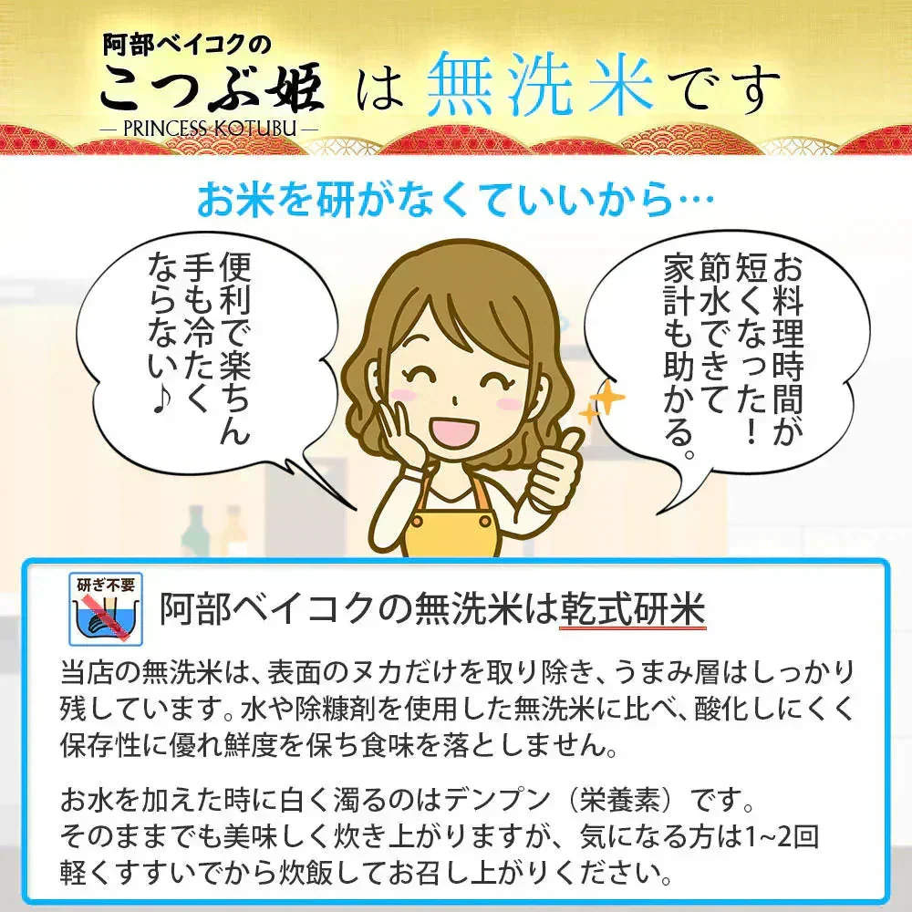 無洗米 10kg (5kg×2袋) こつぶ姫 国内産 送料無料 無洗米10キロ こめ コメ お米 精米 お米10kg お米10キロ
