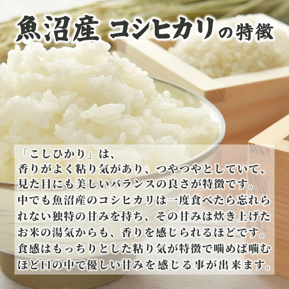 【白米】魚沼産 コシヒカリ 5kg 精白米 国産 国産コシヒカリ100％ 送料無料 精米工場からの直送品