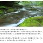 すいか 熊本県産 送料無料 訳あり スイカ 熊本すいか 1玉 S〜Mサイズ 4kg以上 果物 フルーツ 旬 食品 7-14営業日以内に出荷予定(土日祝日除く)