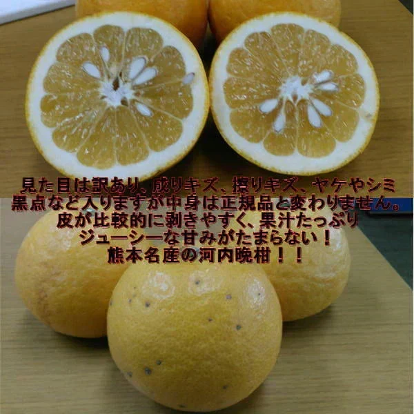 河内晩柑 訳あり 1箱 箱込10kg (9kg+保証分500g）熊本産