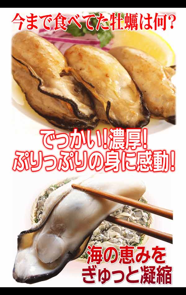 【カウシェうまいもん市場】カキ かき 牡蠣 広島 1kg 冷凍 牡蠣(かき)特大 1kg (正味量約850g)×1袋 広島産/広島県産  送料無料 カキフライ バーベキュー 材料 BBQ 鍋 鍋セット ヘルシー  日時指定不可