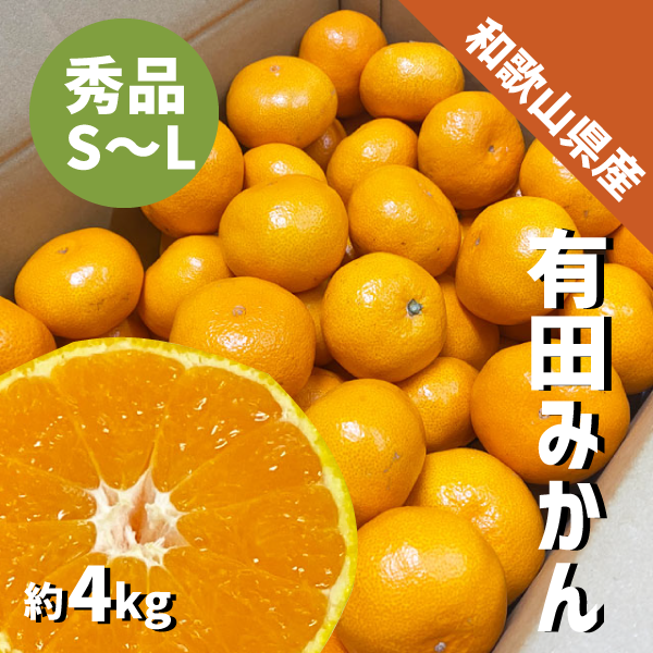和歌山県産 有田みかん 秀品 S〜L 約4kg 有田産 みかん ゆら 田口 宮川 ミカン 贈答 ギフト ご自宅