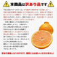 【本場熊本県産】デコみかん 訳あり 1.5kg 送料無料 不知火 みかん ミカン 熊本県産 訳あり デコポン と同品種 くまもと風土 ≪1-5営業日以内に発送予定（土日祝除く）≫